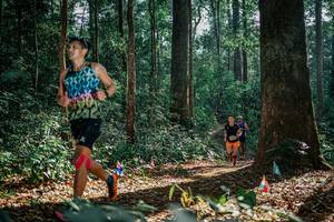 BIB: 
                            <button type="button" onclick="openModal(26083538)" class="btn btn-primary btn-sm float-right btn-popup" data-toggle="modal" data-target=".modal-high-quality">
                        <i class="fas fa-shopping-cart"></i> Add to Cart
                    </button>
                                            <button type="button" onclick="isThisMe(26083538, true)" class="btn btn-success btn-sm float-right btn-popup btn-isme hidden" data-toggle="tooltip" data-placement="bottom" title="นี่คือรูปของคุณใช่ไหม คลิกที่นี่เพื่อเอาเข้าอัลบั้ม">
                        <i class="fas fa-plus"></i> Add to album
                    </button>
                    <button type="button" onclick="isThisMe(26083538, false)" class="btn btn-warning btn-sm float-right btn-popup btn-isnotme hidden">
                        <i class="fas fa-ban"></i> Remove from album
                    </button>